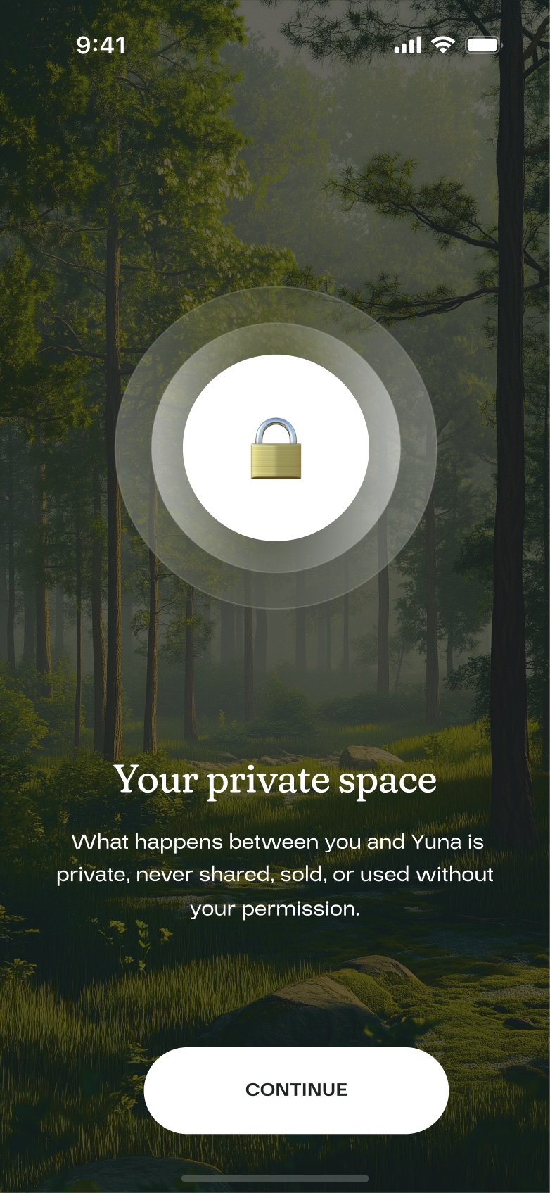 Old privacy screen: lock icon on a dark forest photo
