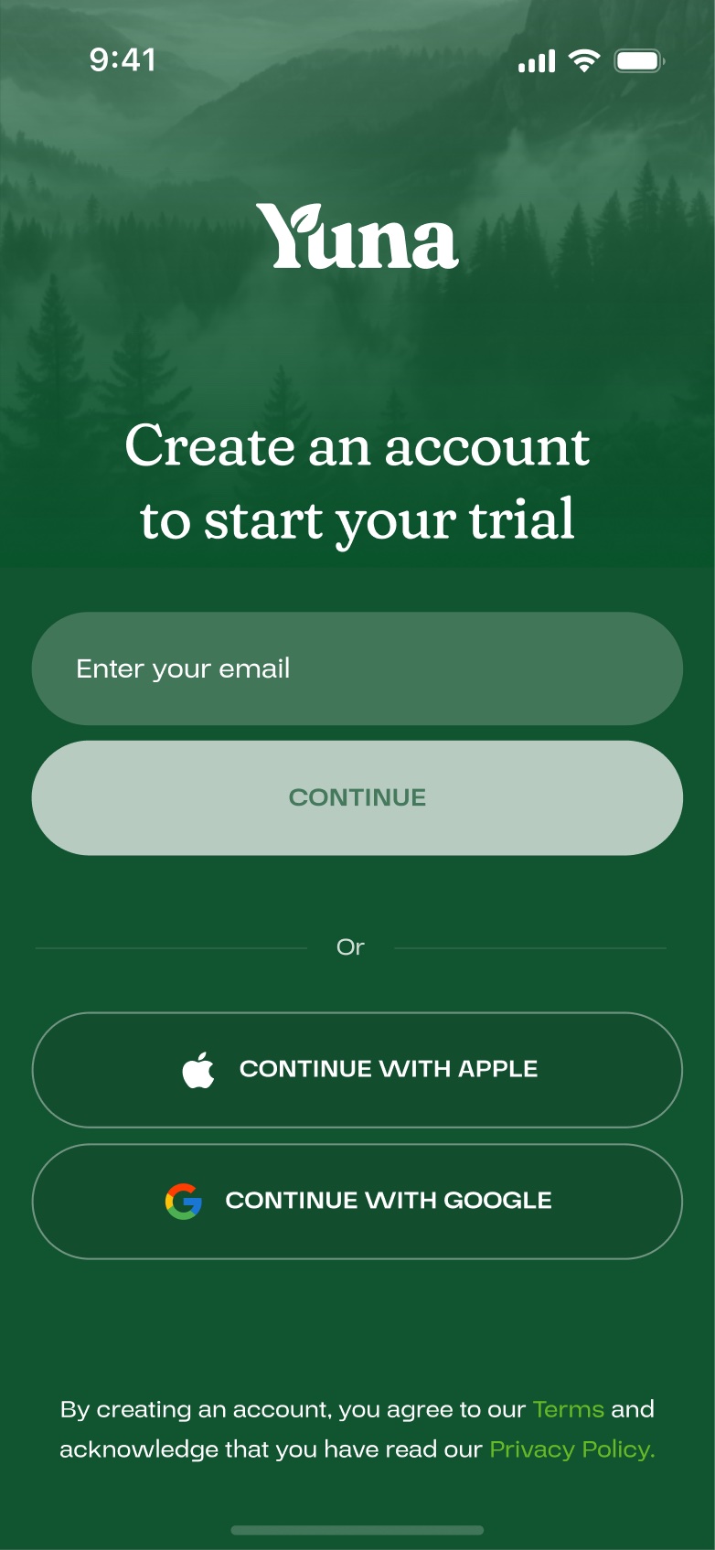 Old account creation screen in green